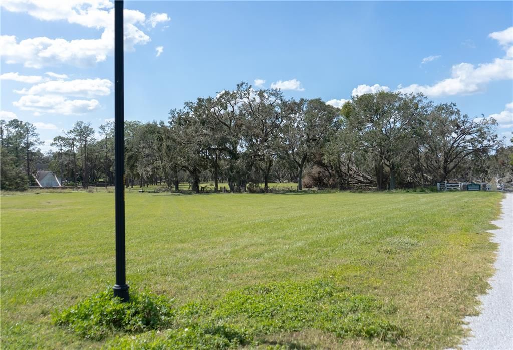 Active With Contract: $195,000 (1.23 acres)