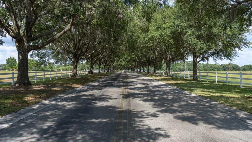 Subdivision entrance view