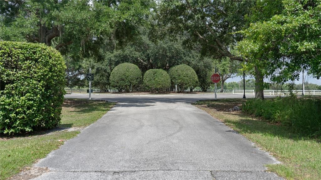 Subdivision entrance view