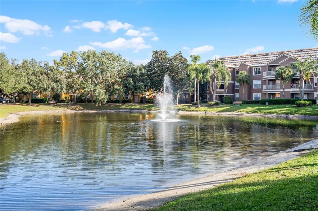 Community Pond