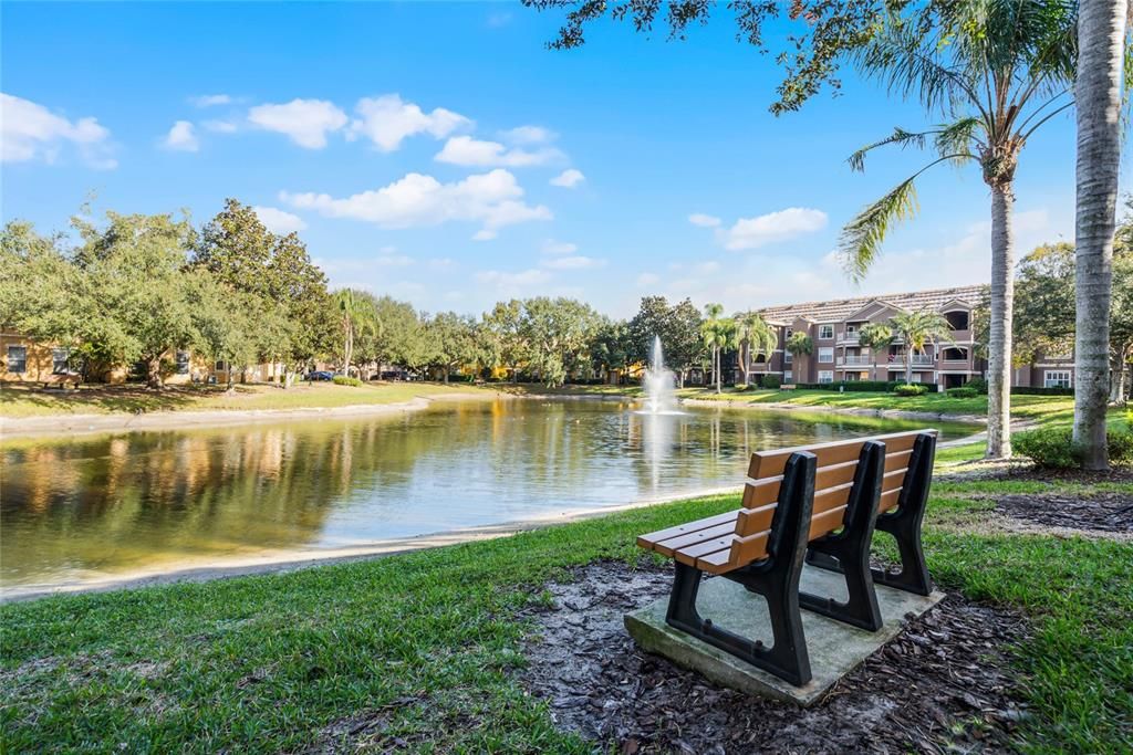 Pond View