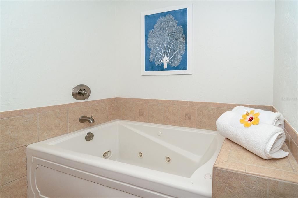 Primary Bath Jetted Tub