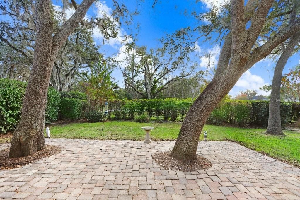 Back Patio