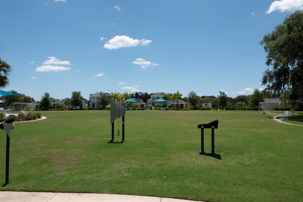 sports field