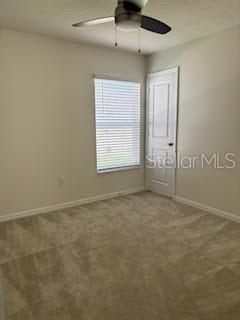 Bedrooms all have fresh carpet and big closets.