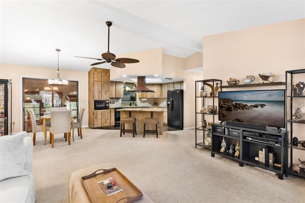 Living Area with High Ceilings