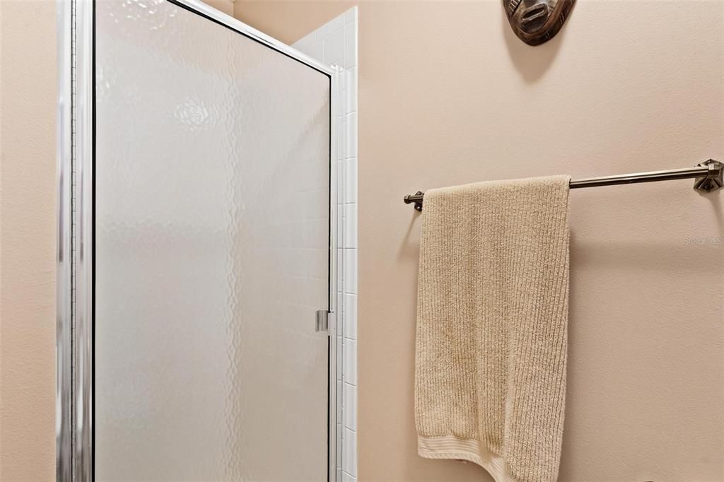 Primary Walk-In Shower