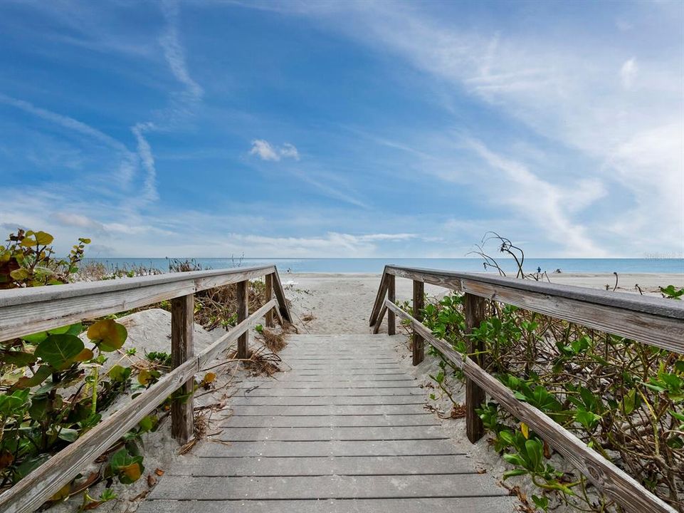 Just beyond the mangroves, the white-sandy beach and turquoise-blue water awaits.