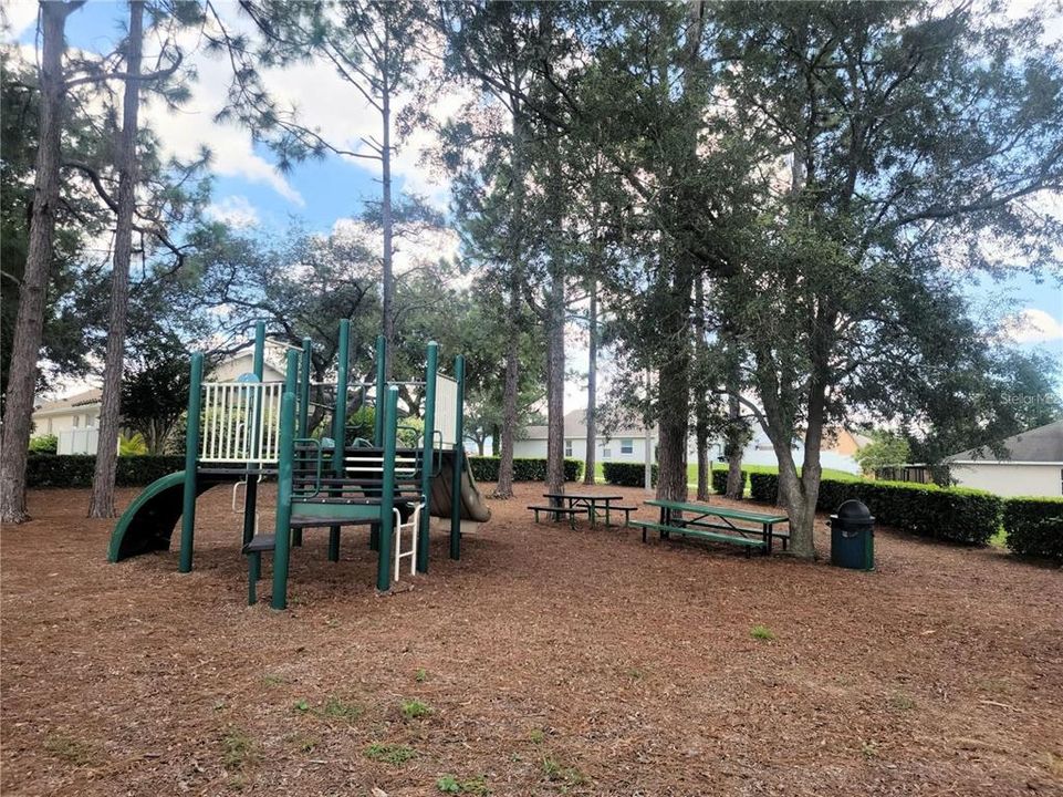 Community Playground