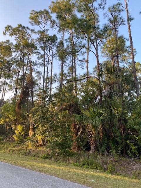 На продажу: $250,000 (2.27 acres)