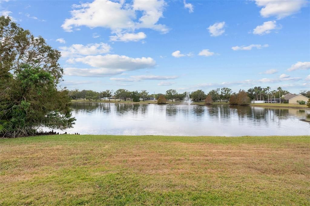 Peaceful pond view