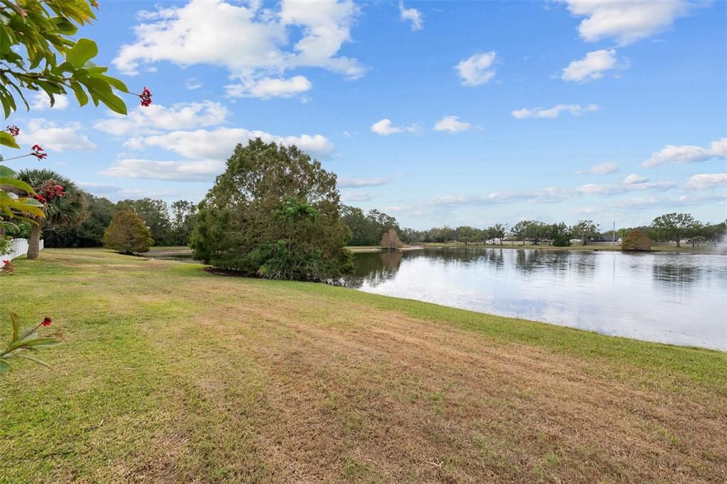 Pond view