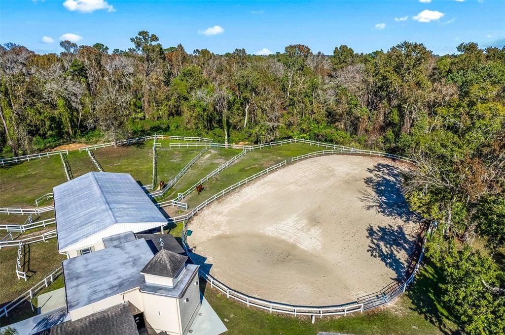 Horse Stable