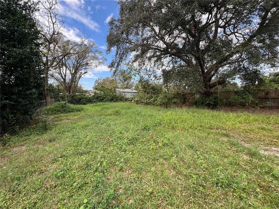 Large-Fenced Backyard