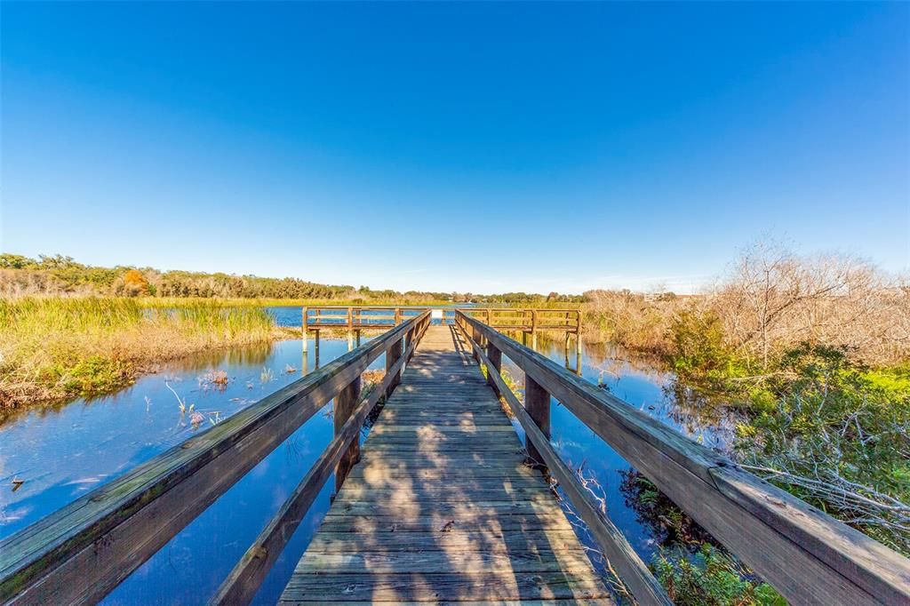 Paradise Dock on West Side of Paradise