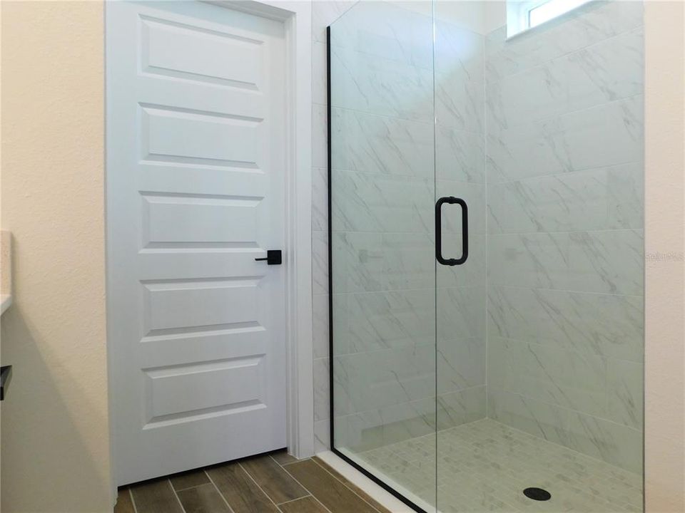 Frameless Shower