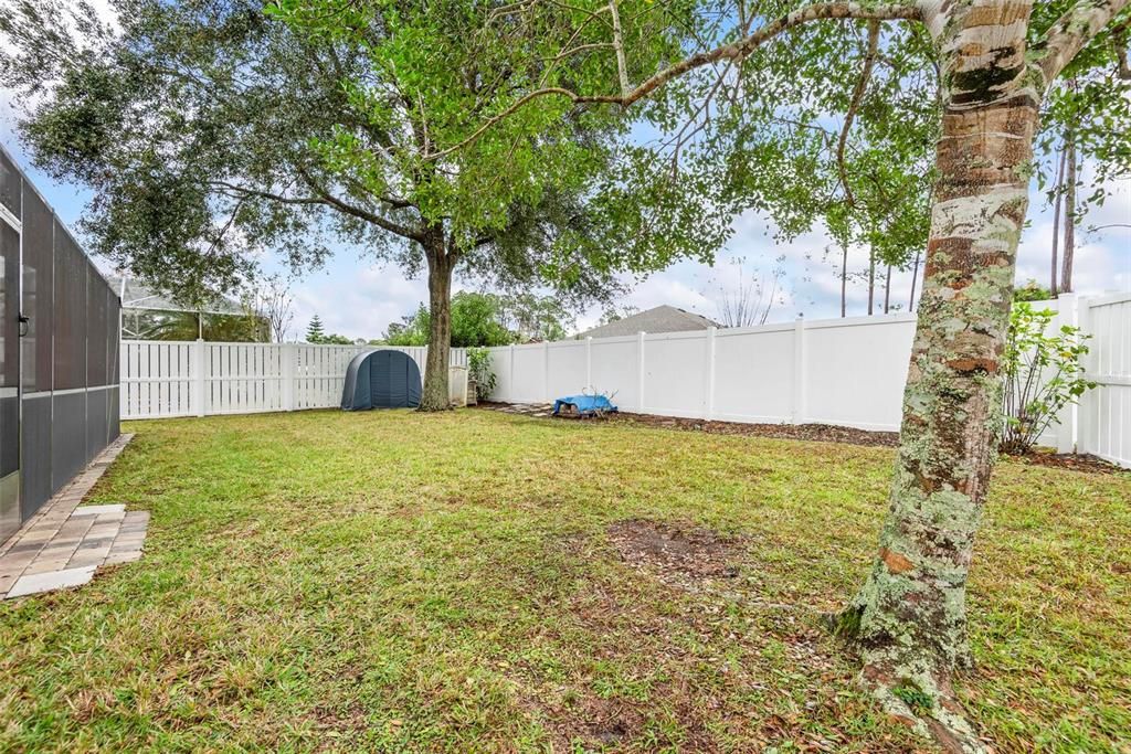 Fully Fenced Yard