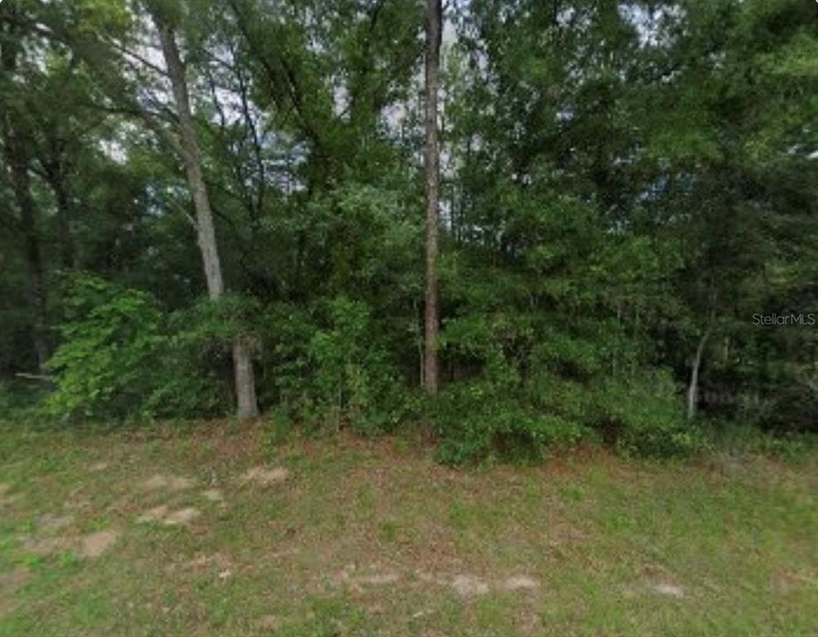 For Sale: $23,500 (0.33 acres)