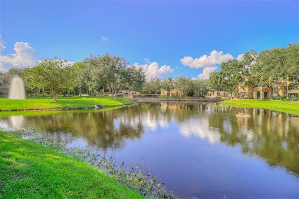 clubhouse pond view