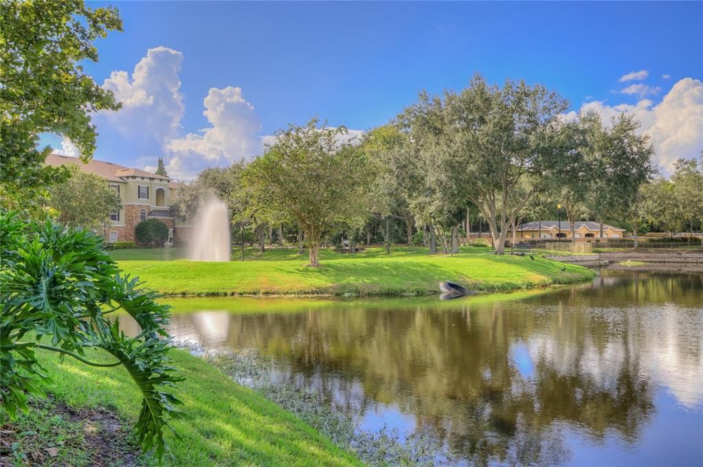 clubhouse pond view