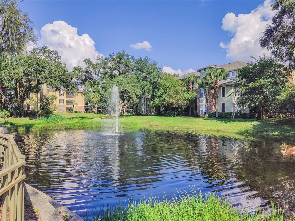 clubhouse pond view