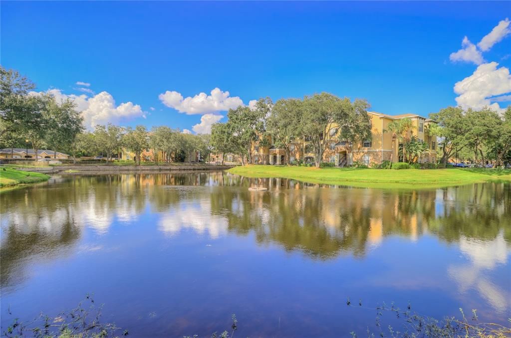 clubhouse pond view