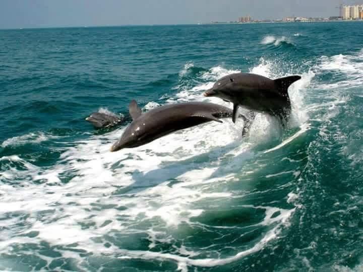 Casey Key & Nokomis Beach