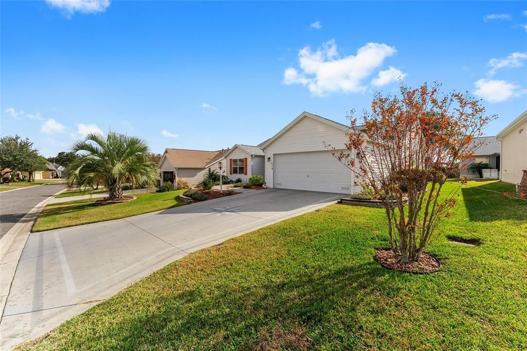 Front/Driveway