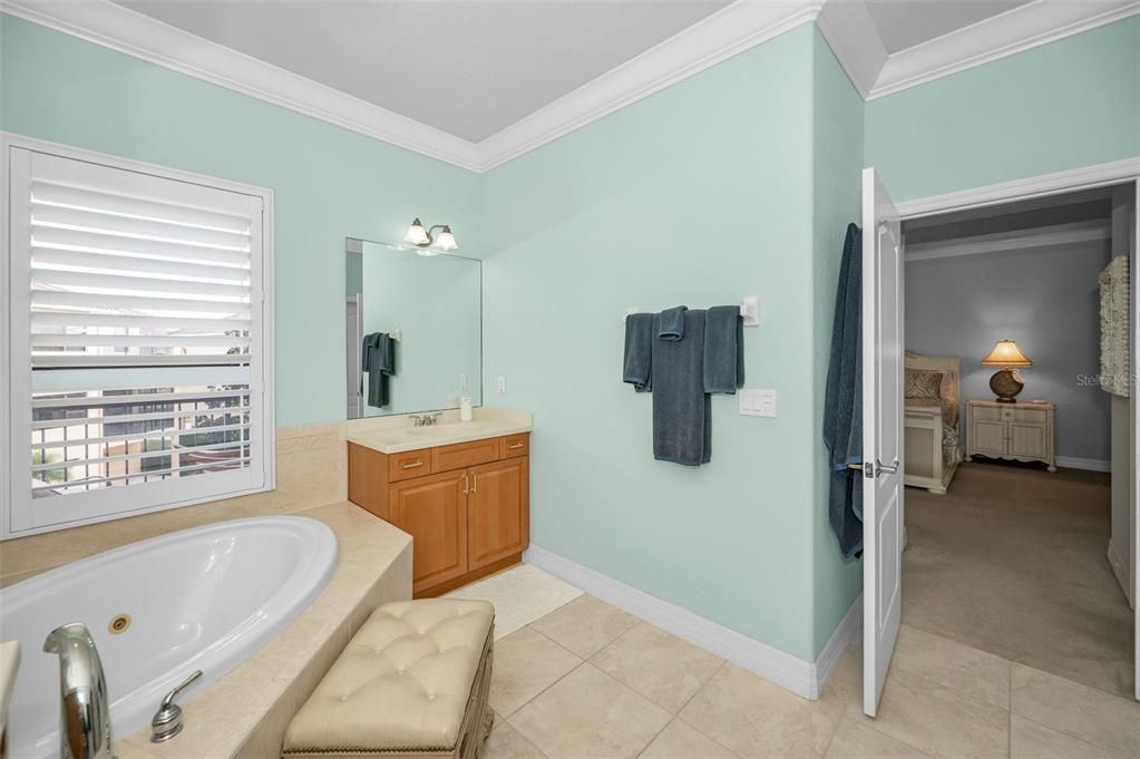 Primary Jacuzzi tub & private water closet