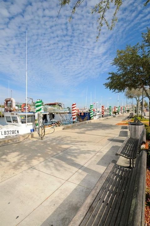 Sponge Docks