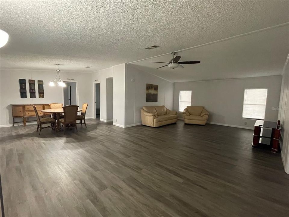 Living room/Dining room combo