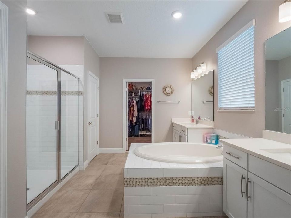 14667 Glade Hill Park Way - Master Bathroom