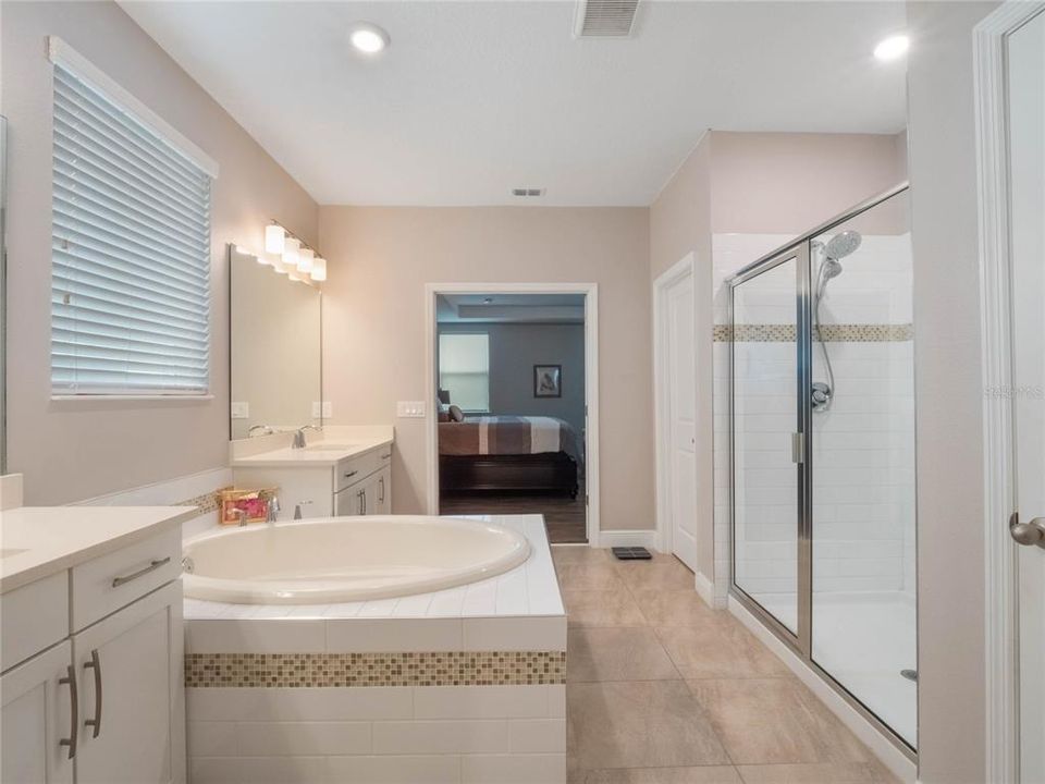 14667 Glade Hill Park Way - Master Bathroom