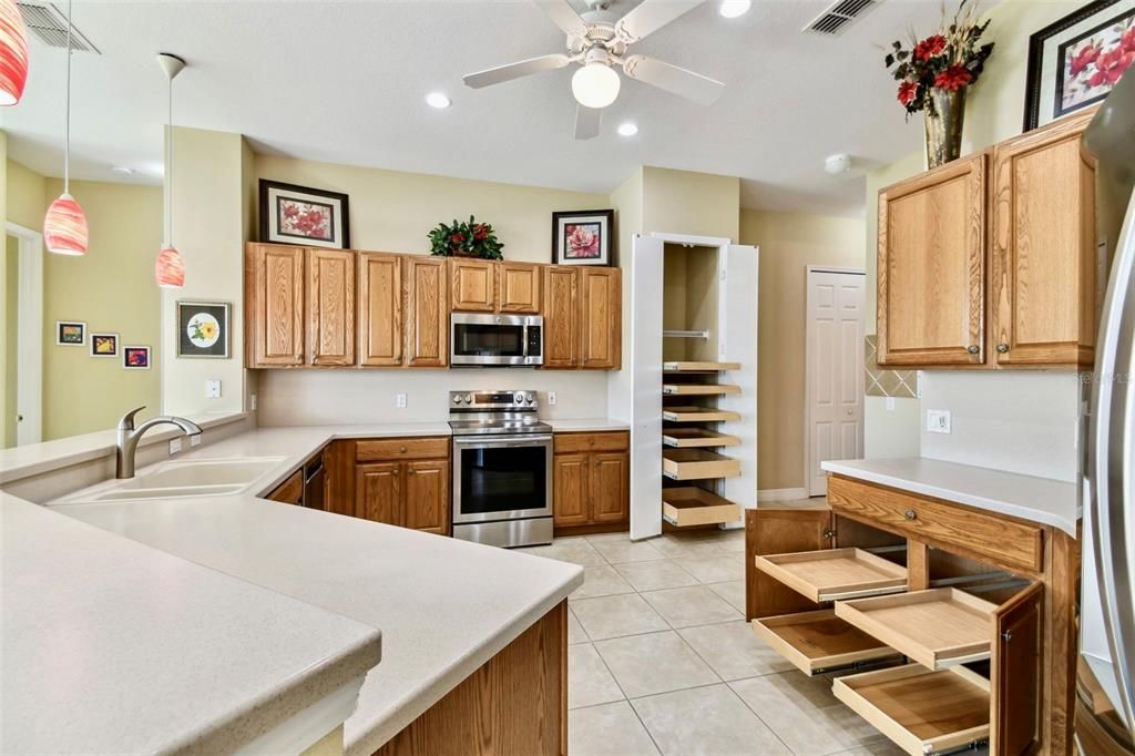 PANTRY AND CABINETS W/ GLIDE OUT DRAWERS