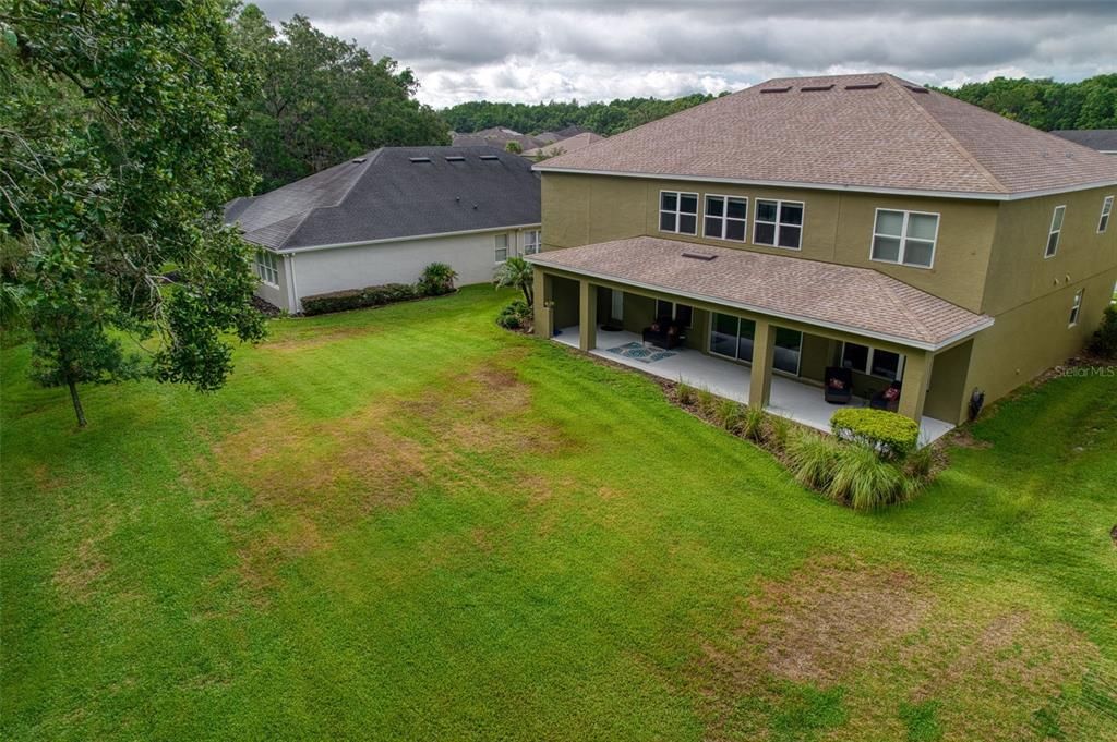 OVERSIZED Backyard