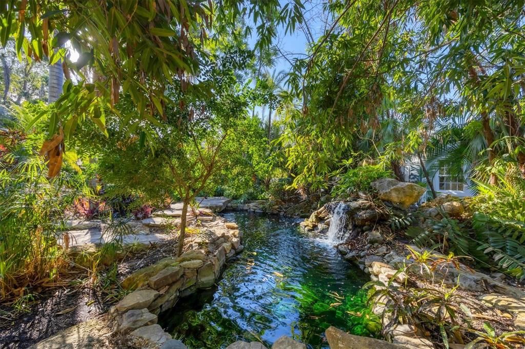 Koi Pond with waterfall