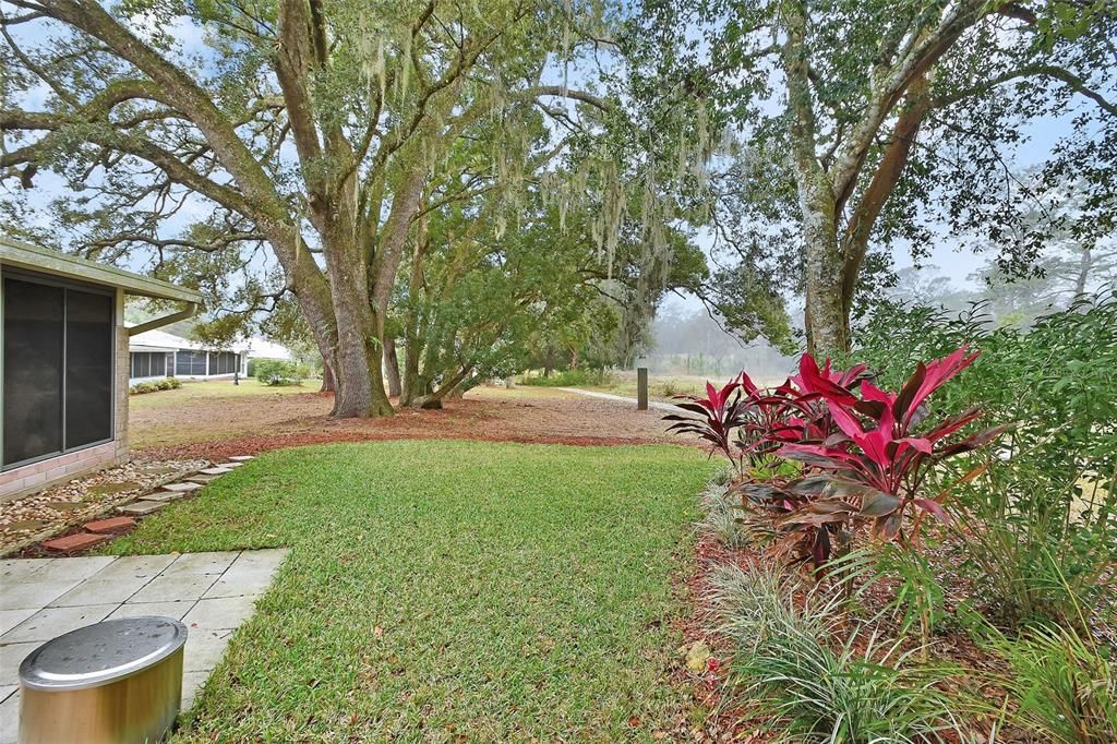 Backyard area