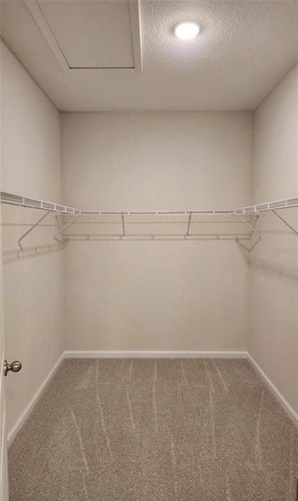 Master suite walking Closet