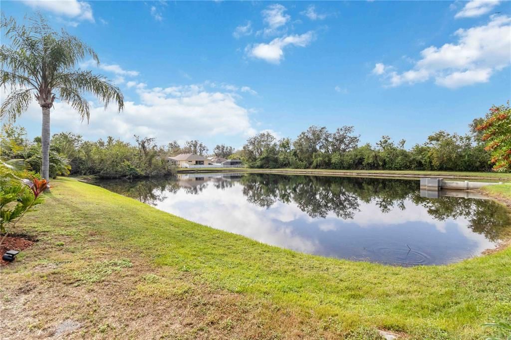 Pond views from your backyard