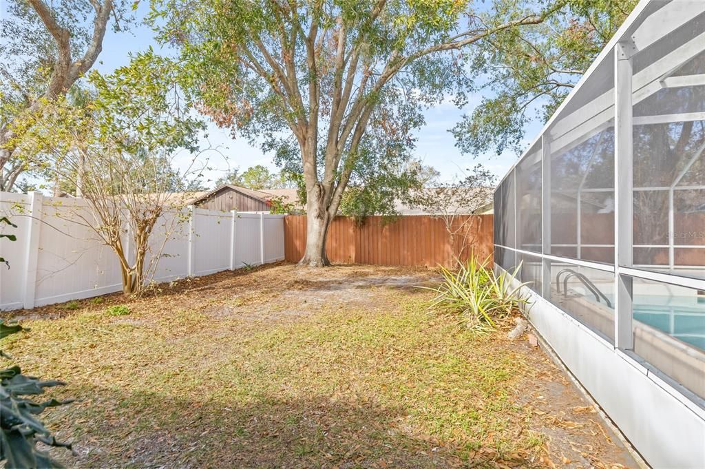 Good sized Backyard Space