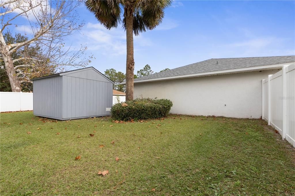 Back Yard Close View with Shed