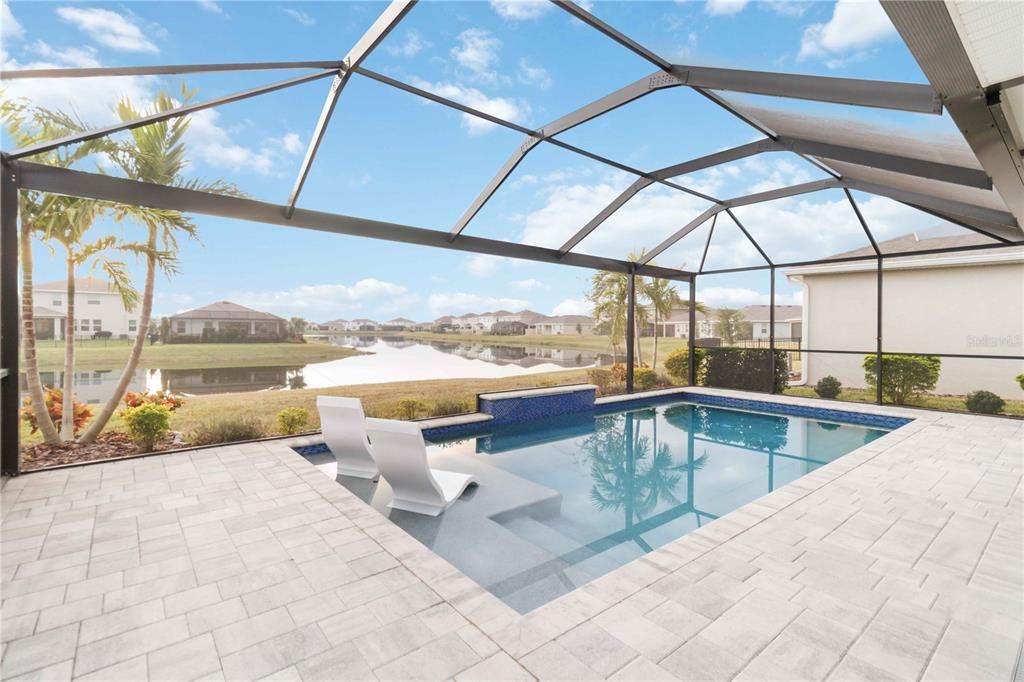 Lovely pavers and mature palm trees