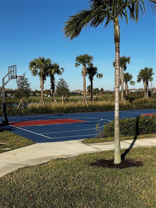 Outdoor Basketball Court