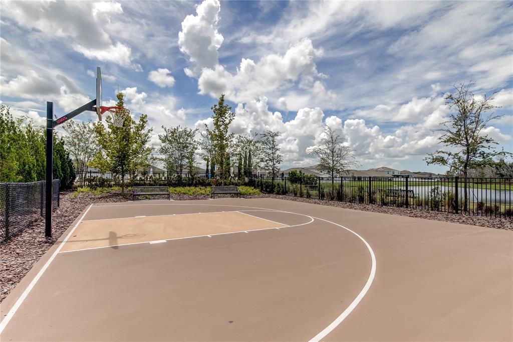 Basketball Court