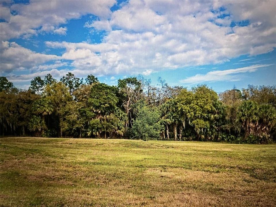 For Sale: $299,000 (3.71 acres)