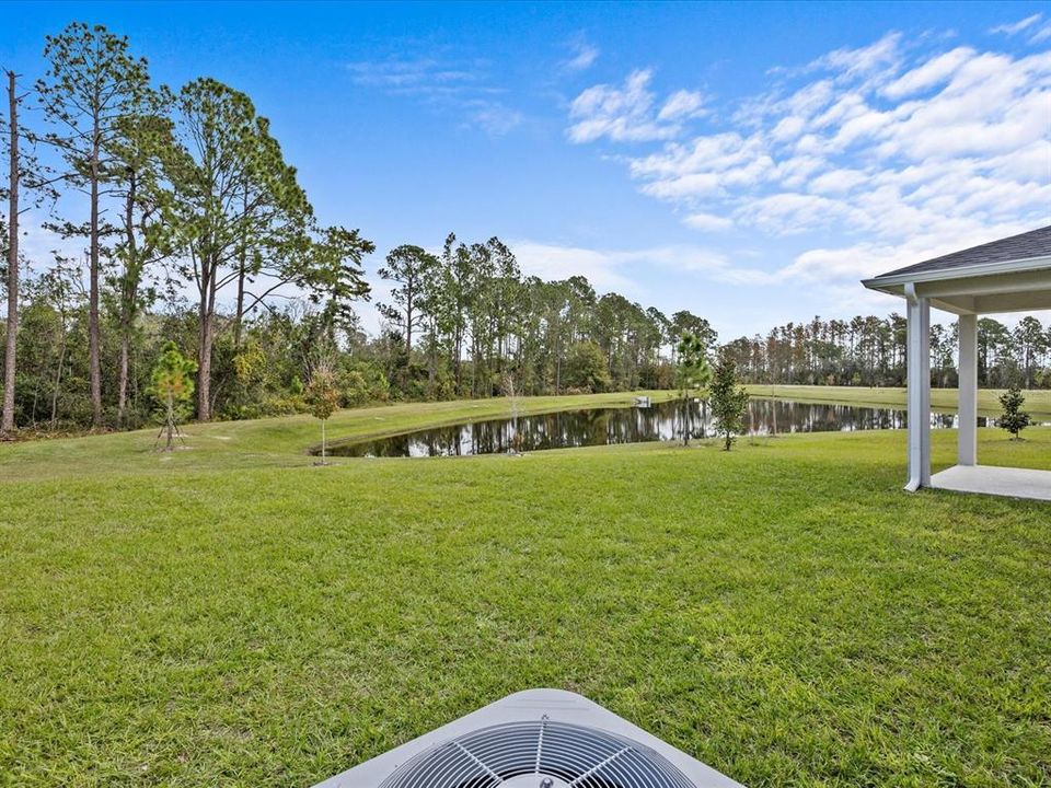 Another view of the back yard