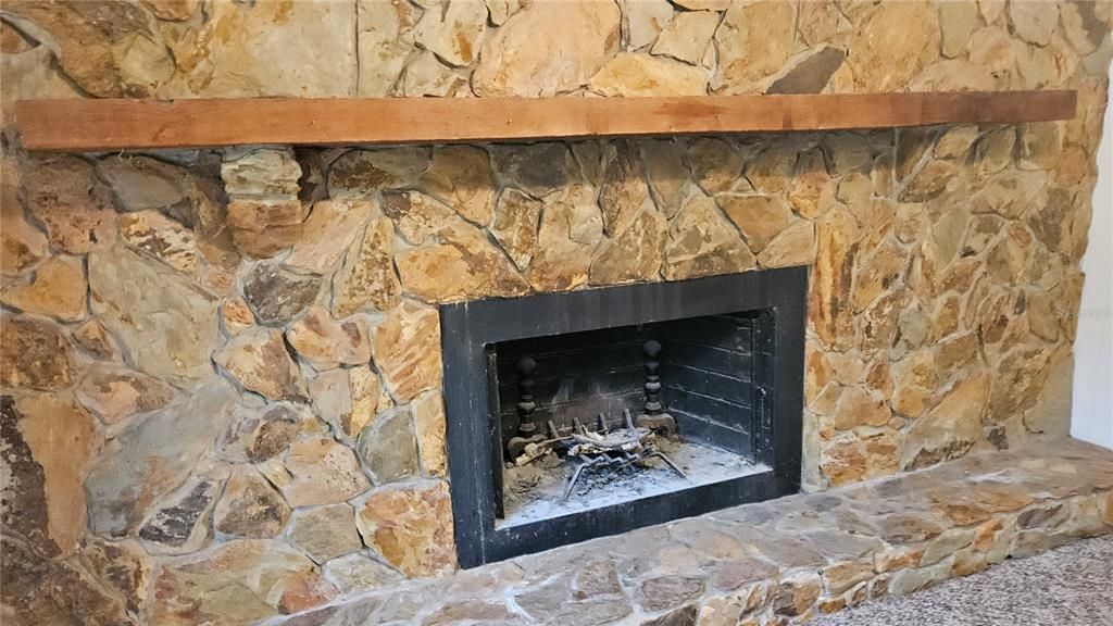 Den Fire Place