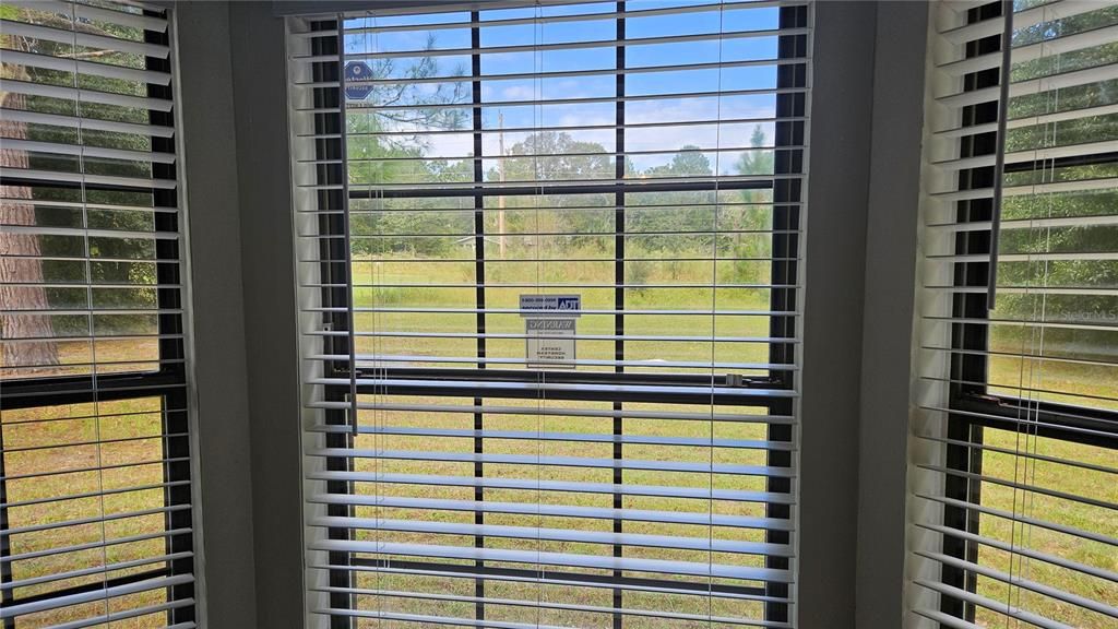 looking out Family room