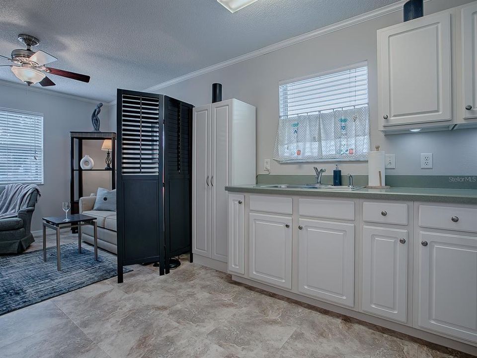 STAINLESS SINK WITH A WINDOW VIEW