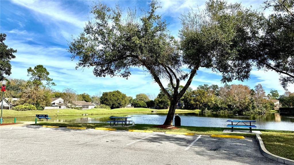 Beautiful community spot to rest and watch the ducks!